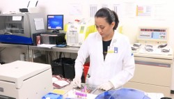 Los donadores voluntarios de sangre salvan vidas