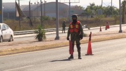 Se han fortalecido mecanismos de revisión en la movilización de ganado en Sinaloa