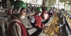 Sinaloa sigue apoyando a emprendedores