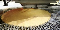 Sinaloa con condiciones para ser estado líder en producción de etanol
