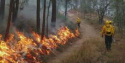 Sinaloa tiene probabilidades altas de incendios forestales