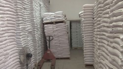 Piden organizaciones mas recursos federales para la compra de semilla para temporaleros