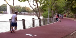 Rehabilitan trotapista en el Parque 87