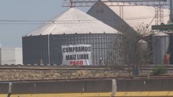 Diconsa compró maíz por la "libre" afectando el precio y las contrataciones