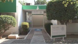 Reconoce la SADER que "invitó" a trabajadores de carrera para acogerse al programa de retiro voluntario