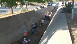 En Pradera Dorada 2 se suman al "Basura Challenge"