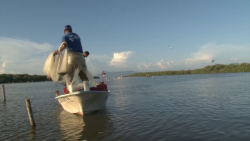 Necesarios castigos más severos a la pesca furtiva: CONAPESCA