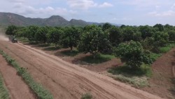 Hay compromiso de reforzar seguridad en el sector agrícola: SP