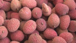 El consumo excesivo de Lichis puede provocar hipoglucemia en personas con niveles bajos de azúcar en la sangre