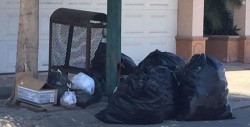 Colinas del Rey afectada con el servicio de recolección de basura