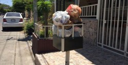 Una parte de Cañadas está llena de basura.