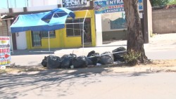Promete JEF camiones para recolectar basura