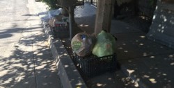 Este martes se dará el fallo para adquirir más camiones recolectores de basura