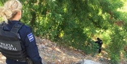 Golpean brutalmente a un joven hasta dejarlo inconsciente
