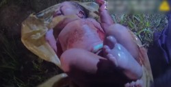 Difunden video del rescate de una bebé abandonada en el bosque