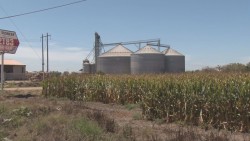 ASERCA revisará deducciones que hagan las bodegas a los productores agrícolas