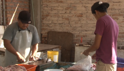 Bajas ventas reportan en embarcadero “Isla de la piedra”