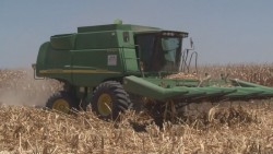 Denuncian la desaparición de centros de insumos y de producción de semillas mejoradas