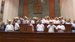 También organizaciones de MORENA reciben apoyos de la cuota ejidal