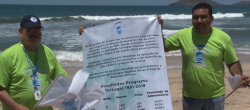 Dan banderazo de inicio a 29 temporada de Programa de Protección a la Tortuga Marina