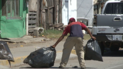 Buscan generar mayor conciencia ecológica en Mazatlán
