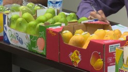 Festival del Mango en el Parque Sinaloa