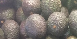 El precio del aguacate sigue por las nubes