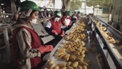 Busca Sinaloa seguir continuar con mayor generación de empleos