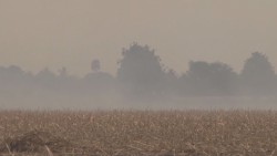 Bomberos y Protección Civil no cuentan con infraestructura suficiente para combatir la quema de socas