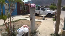 'Camina, no corras', le dice el Alcalde a quejas por basura