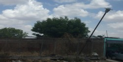 A punto de caer lámpara en parque
