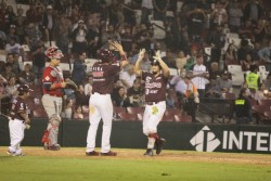 Guindas brillan en el verano