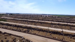 Sector pecuario con altos niveles de exportación