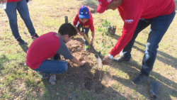 Oxxo reforesta Los Mochis
