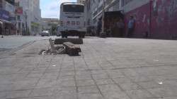 Alcantarilla sin tapadera en banqueta del centro por la Rosales