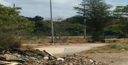 Arroyo sin barandal, con basura y andador olvidado