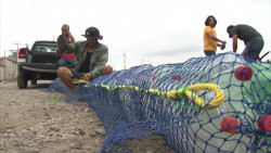 Buscan aliados en Mazatlán para frenar contaminación en el mar