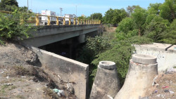 Viven entre 'pestes' en la Salvador Allende de Mazatlán