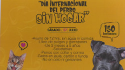 Anuncian campaña para mascotas