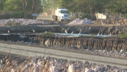 Buscan más respuestas detrás del Parque Central en Mazatlán