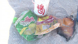 Vuelven a encontrar 'basura fósil' en playas de Mazatlán