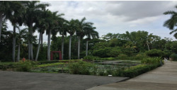 Visite el Jardín Botánico de Culiacán