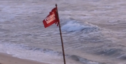 Vacacionistas se llevan banderines de playa como “Souvenir”