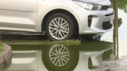 Brotan aguas verdes en Cedros