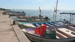 Mala situación de pescadores