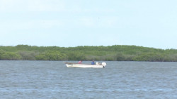 Pesca furtiva se acaba el camarón