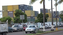 Estibadores recuperan ocupación laboral