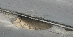 Bache peligroso por la Rubí