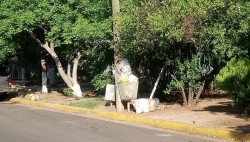 Sin pasar el carro de la basura en el sector CANACO