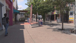 Se paraliza la actividad comercial por altas temperaturas empresarios plan árboles